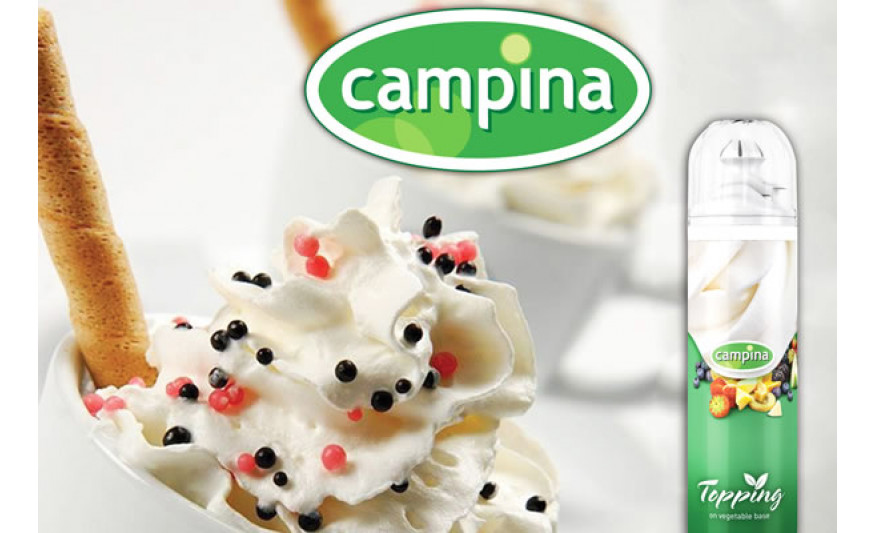 Campina Sprey Krem Şanti 250 ml 1 Adet 